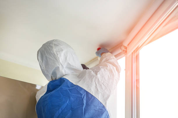 Best Residential Mold Inspection & Testing in George, IA